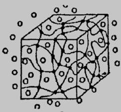 水凝胶网络结构示意图