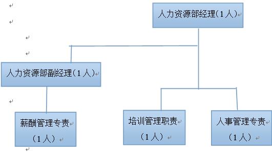 公司人力资源部人员结构示意图