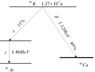 40K的衰变规律