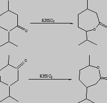 薄荷酮化合物的Baeyer-Villiger反应