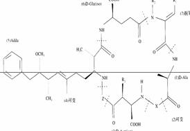 微囊藻毒素分子结构