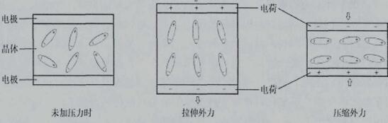 正压电效应示意图