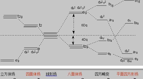 各种晶体场下d轨道分裂图