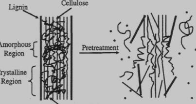 木质纤文素原料预处理目的