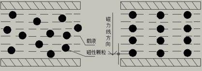 磁性颗粒零磁场和强磁场状态