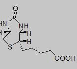 D-生物素