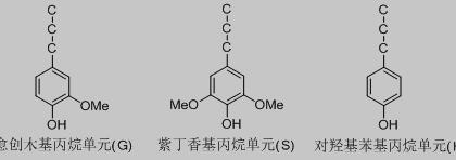 木质素基本单元结构