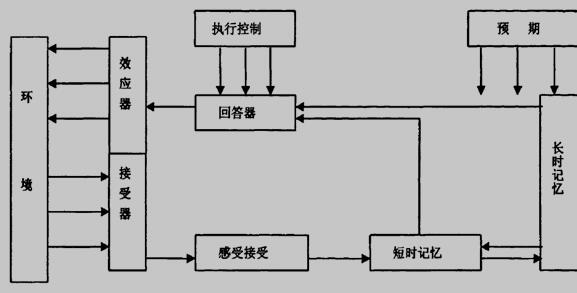 人脑的信息加工及反应过程