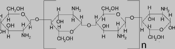 壳聚糖的结构式