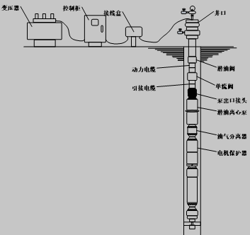 潜油电泵机组结构图