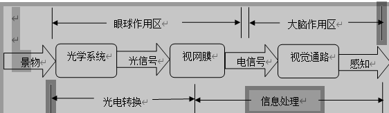 人类视觉系统信息处理模型