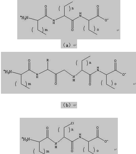  第一类别氨基酸型表面活性剂的结构